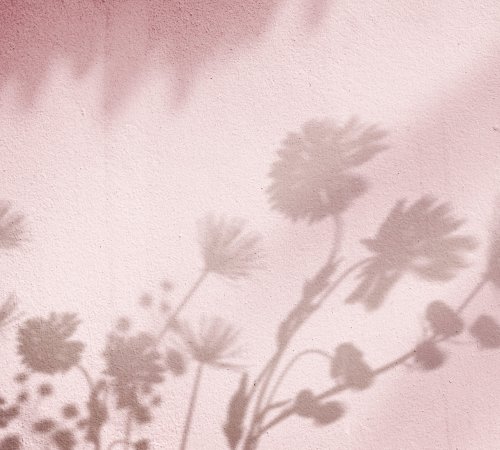Pink background with floral field shadow