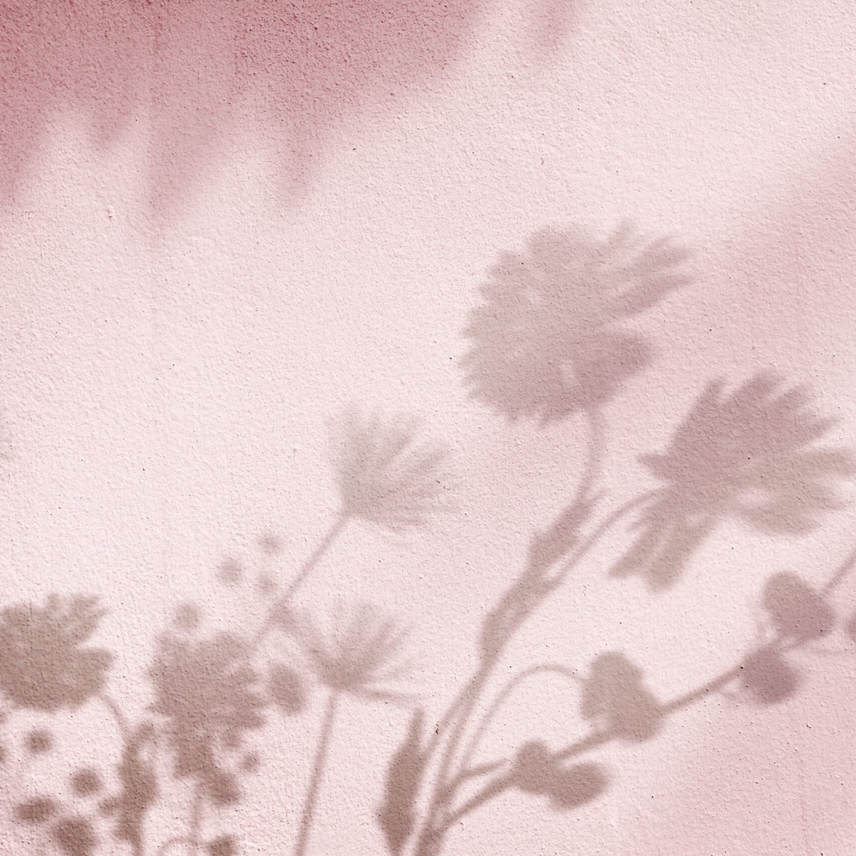Pink background with floral field shadow